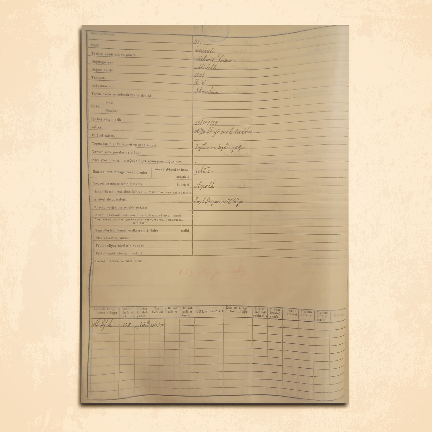 Kökler Her Şeydir ve Hikayenizin Başlamasına Neden Olan Köklerinizde Gizlidir